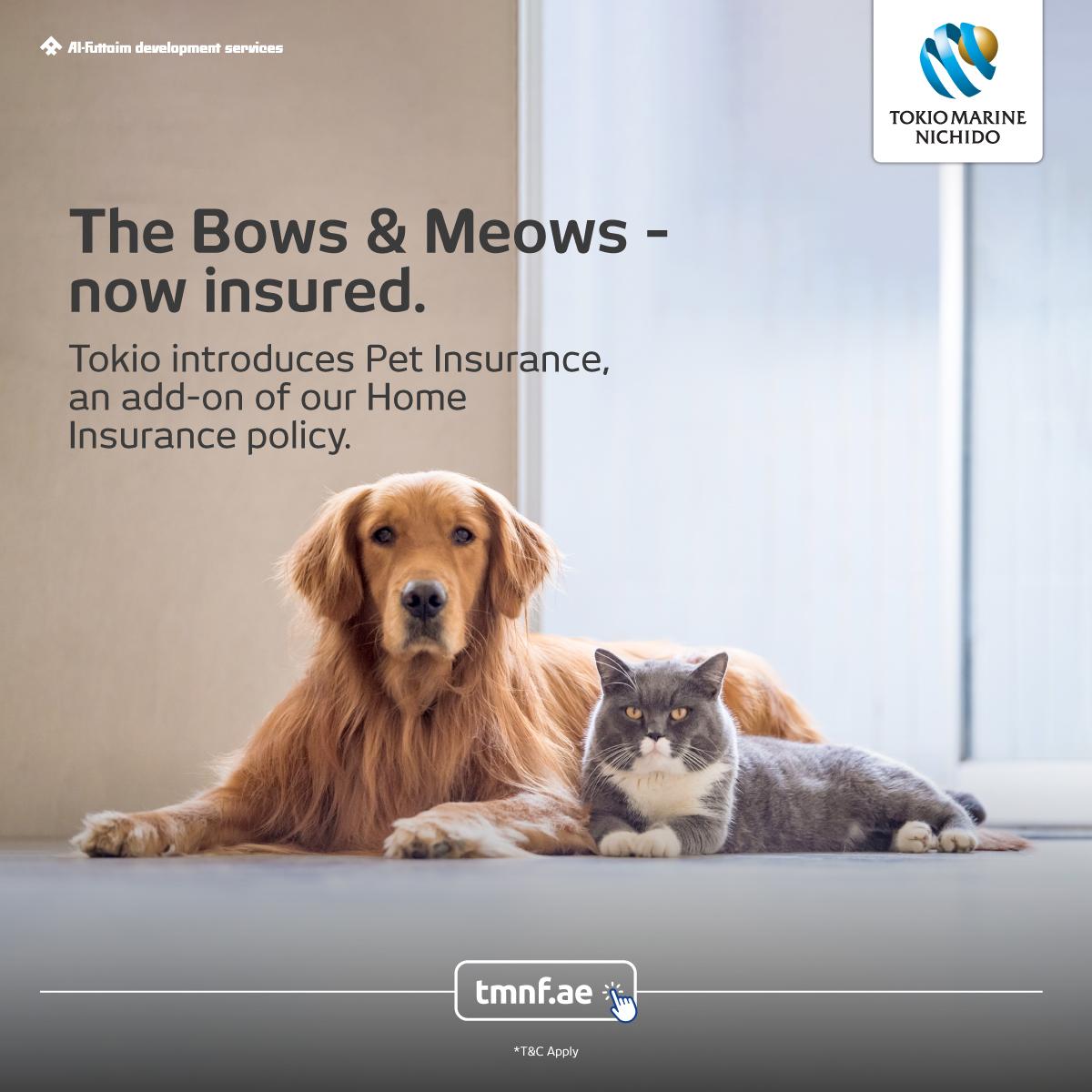 TMNF-Pets Insurance-06